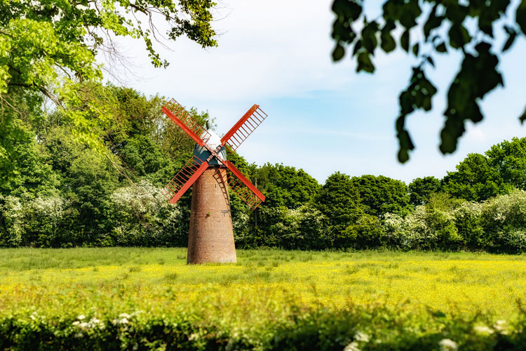 Wellies, Walks & Talks